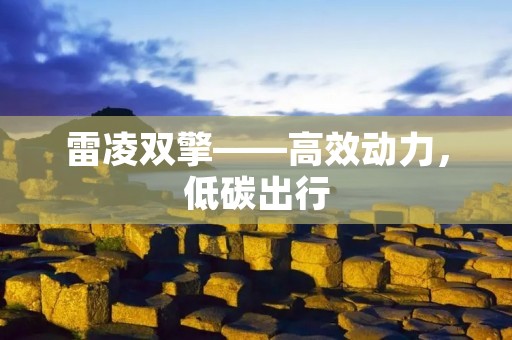 雷凌双擎——高效动力，低碳出行