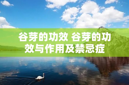 谷芽的功效 谷芽的功效与作用及禁忌症
