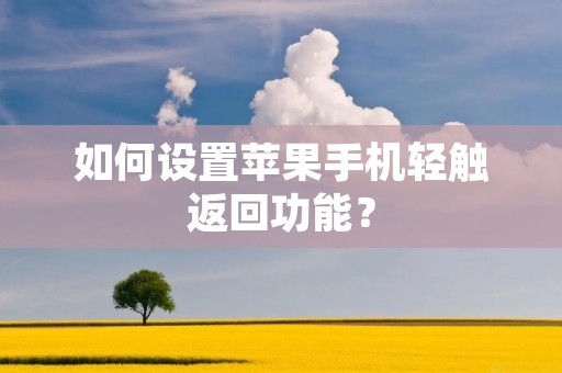 如何设置苹果手机轻触返回功能？