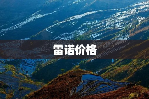 雷诺价格：探究雷诺汽车品牌的价格体系