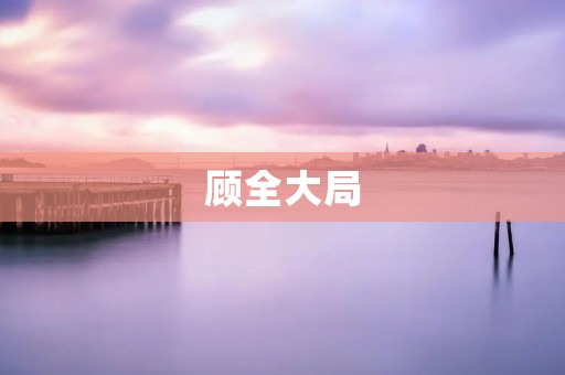 顾全大局:从局部到整体的全面考虑 顾全大局:从局部到整体的全面考虑