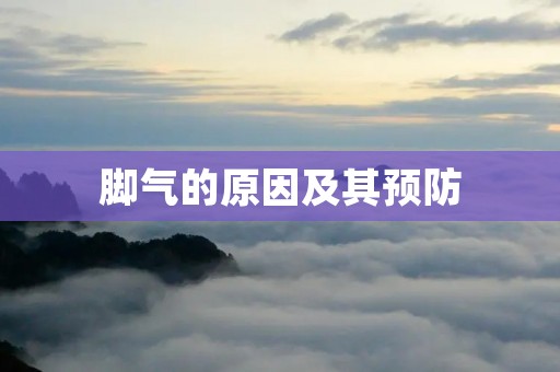 脚气的原因及其预防 脚气的原因及其预防