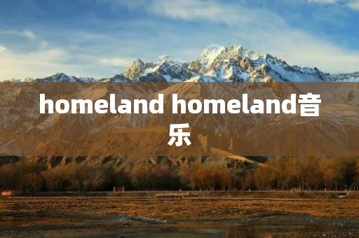 homeland homeland音乐