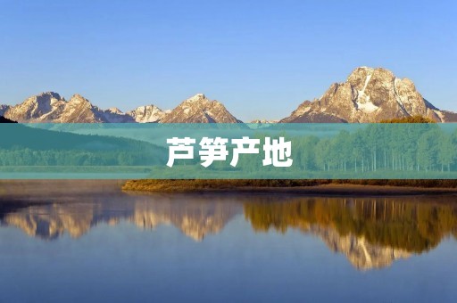 芦笋产地:探寻世界上最优秀的芦笋种植地 芦笋产地:探寻世界上最优秀的芦笋种植地
