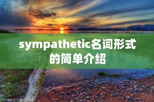 sympathetic名词形式的简单介绍