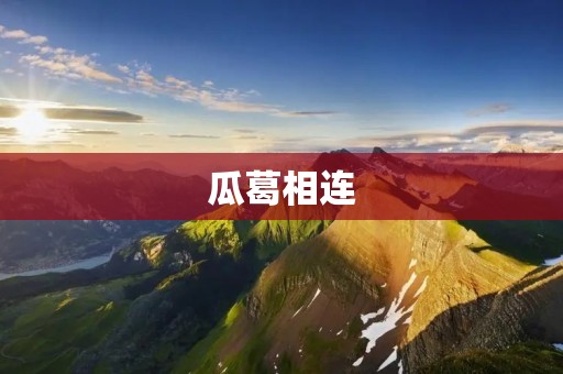 瓜葛相连:探寻关系网络的奥秘 瓜葛相连:探寻关系网络的奥秘