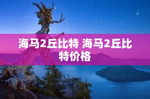 海马2丘比特 海马2丘比特价格