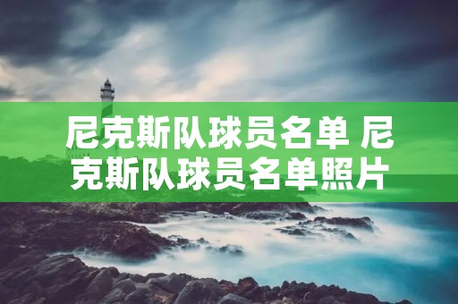 尼克斯队球员名单 尼克斯队球员名单照片