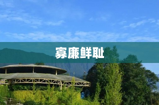 寡廉鲜耻:现代社会的道德败坏 寡廉鲜耻:现代社会的道德败坏