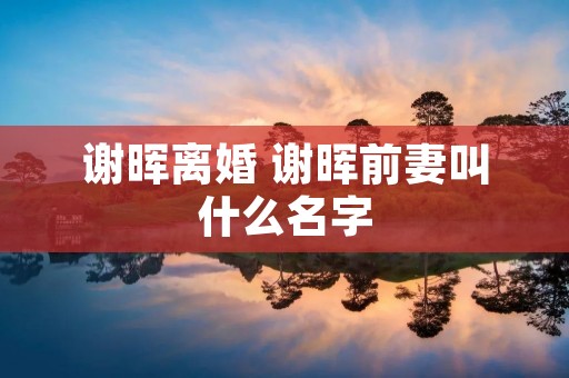 谢晖离婚 谢晖前妻叫什么名字