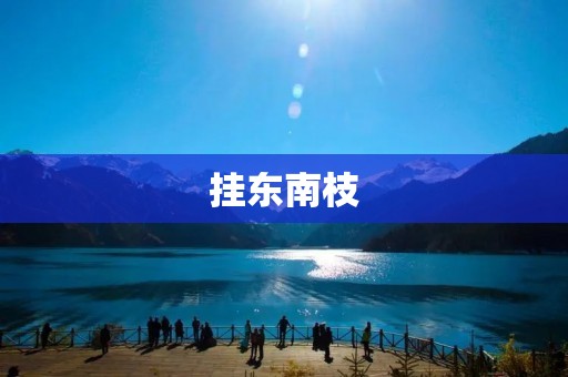 挂东南枝:传统文化中的美好寓意 挂东南枝:传统文化中的美好寓意