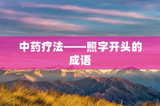 中药疗法——照字开头的成语