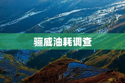 骊威油耗调查:如何降低油耗? 骊威油耗调查:如何降低油耗?