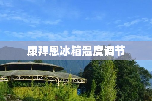 康拜恩冰箱温度调节：如何正确设置温度？