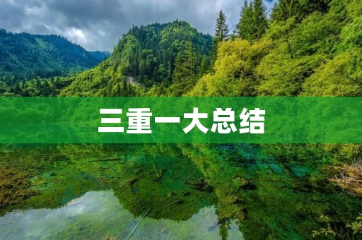 三重一大总结:学习方法的探索与实践