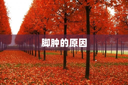 脚肿的原因:探究脚肿胀的成因 脚肿的原因:探究脚肿胀的成因