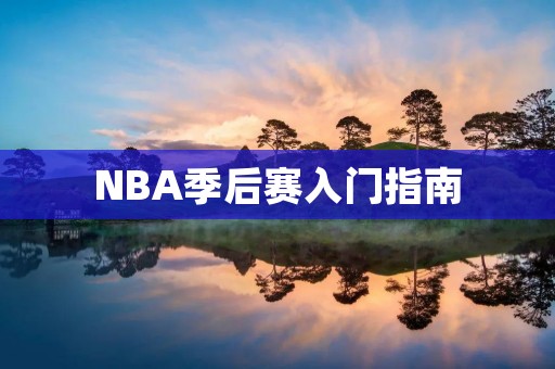 NBA季后赛入门指南:如何让你的球队晋级 NBA季后赛入门指南:如何让你的球队晋级