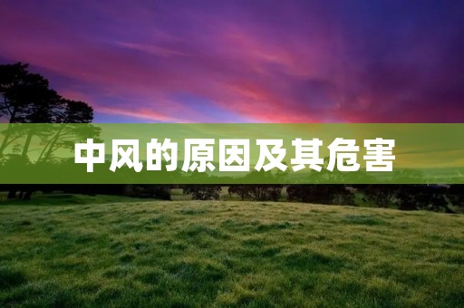 中风的原因及其危害