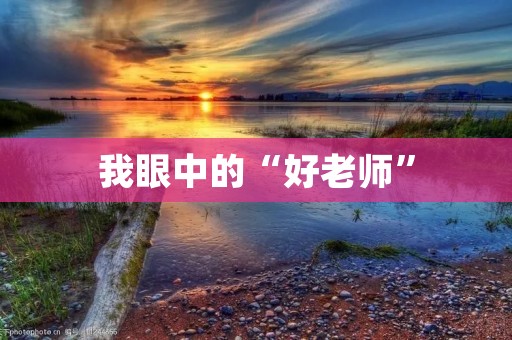 我眼中的“好老师” 我眼中的“好老师”