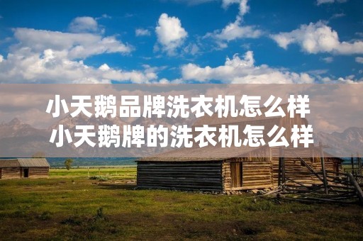 小天鹅品牌洗衣机怎么样 小天鹅牌的洗衣机怎么样