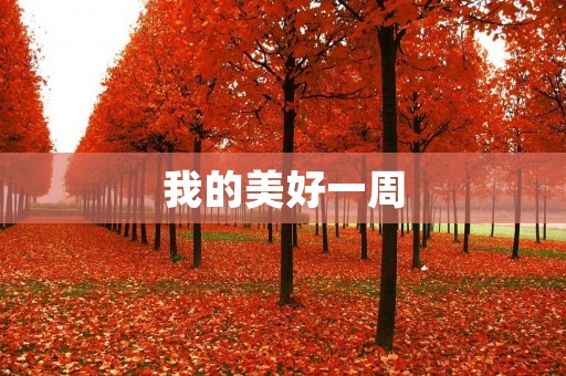 我的美好一周 我的美好一周