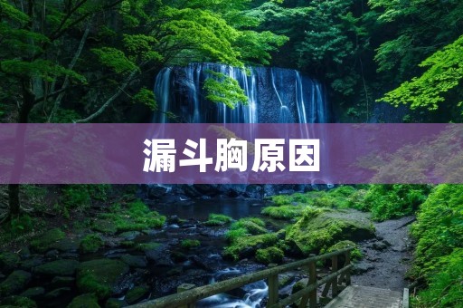 漏斗胸原因:了解这种畸形的成因和相关因素 漏斗胸原因:了解这种畸形的成因和相关因素