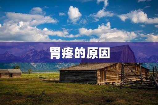 胃疼的原因:了解常见的疾病和不良生活习惯 胃疼的原因:了解常见的疾病和不良生活习惯