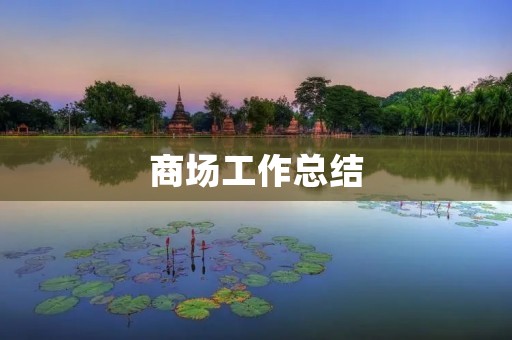 商场工作总结:从新人到老手的成长历程