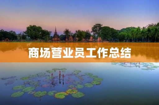 商场营业员工作总结