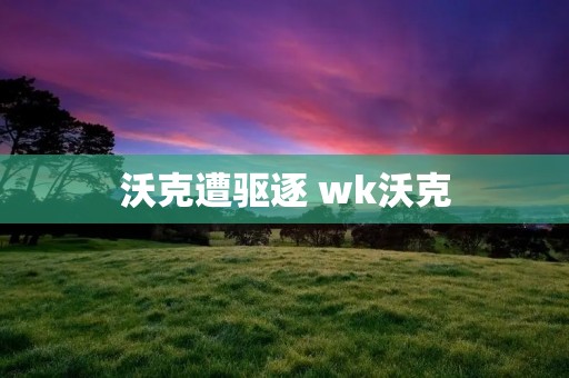 沃克遭驱逐 wk沃克