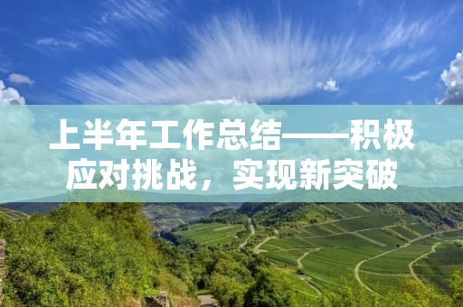 上半年工作总结——积极应对挑战,实现新突破