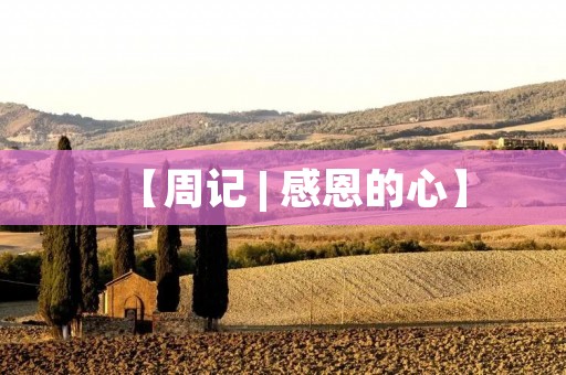 【周记 | 感恩的心】