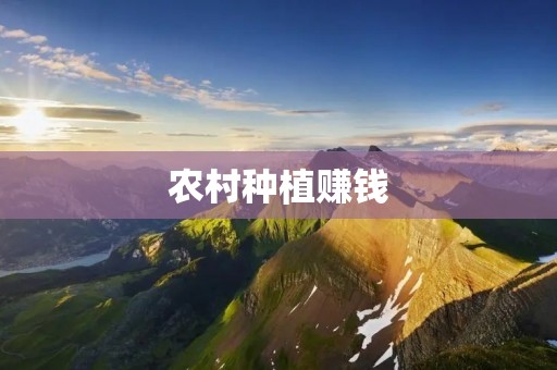 农村种植赚钱:如何在农村打造赚钱的种植产业? 农村种植赚钱:如何在农村打造赚钱的种植产业?
