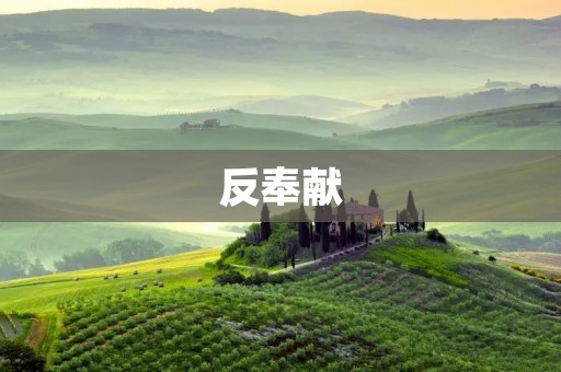 反奉献:人性的阴暗面 反奉献:人性的阴暗面