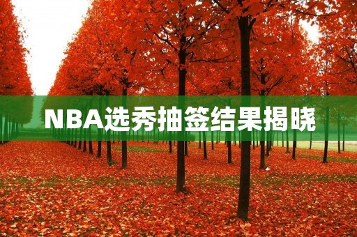 NBA选秀抽签结果揭晓：谁将成为今年的状元？