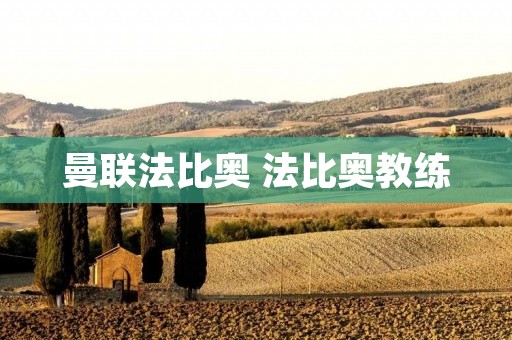 曼联法比奥 法比奥教练
