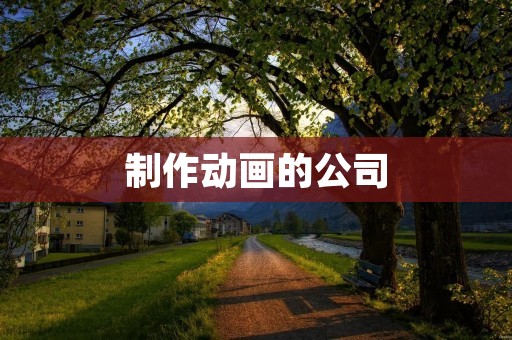 制作动画的公司:如何选择最适合你的合作伙伴?