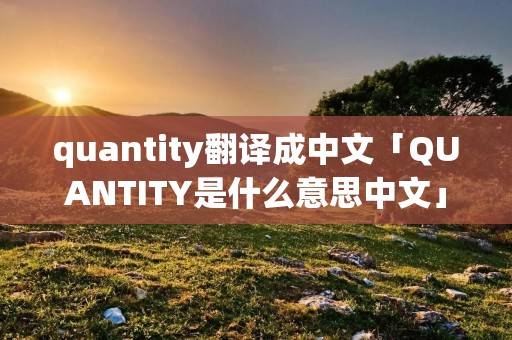 quantity翻译成中文「QUANTITY是什么意思中文」 quantity翻译成中文「QUANTITY是什么意思中文」