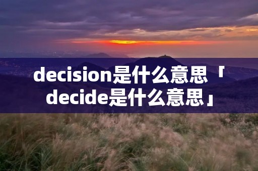 decision是什么意思「decide是什么意思」