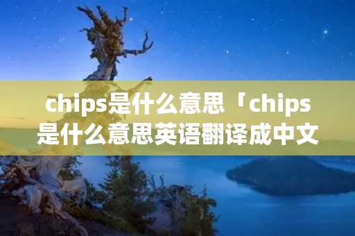 chips是什么意思「chips是什么意思英语翻译成中文」