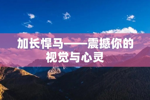 加长悍马——震撼你的视觉与心灵 加长悍马——震撼你的视觉与心灵