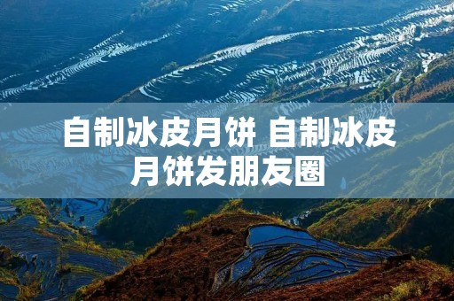 自制冰皮月饼 自制冰皮月饼发朋友圈