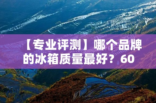 【专业评测】哪个品牌的冰箱质量最好?600字评测报告 【专业评测】哪个品牌的冰箱质量最好?600字评测报告