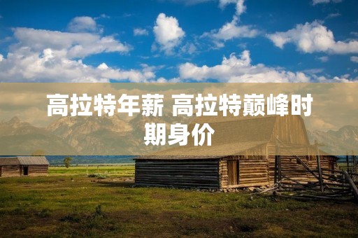 高拉特年薪 高拉特巅峰时期身价 高拉特年薪 高拉特巅峰时期身价