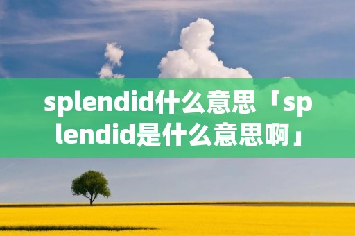 splendid什么意思「splendid是什么意思啊」 splendid什么意思「splendid是什么意思啊」