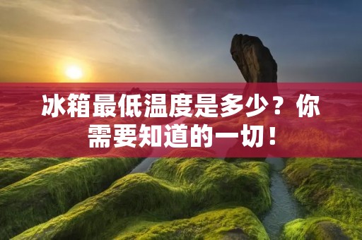 冰箱最低温度是多少?你需要知道的一切! 冰箱最低温度是多少?你需要知道的一切!