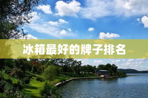 冰箱最好的牌子排名:你需要知道的一切 冰箱最好的牌子排名:你需要知道的一切