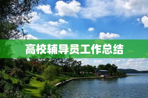 高校辅导员工作总结