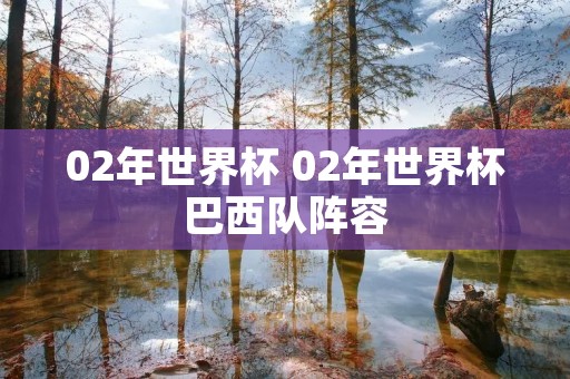 02年世界杯 02年世界杯巴西队阵容 02年世界杯 02年世界杯巴西队阵容