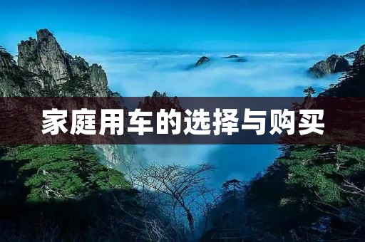 家庭用车的选择与购买 家庭用车的选择与购买